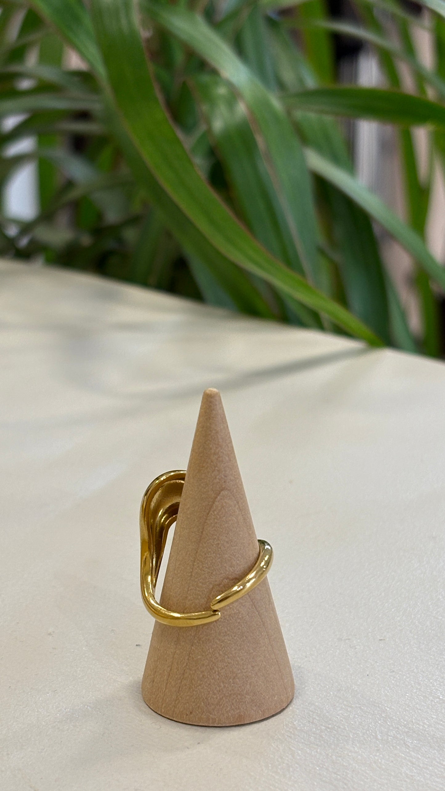 Anillo de Acero Inoxidable Forma en Ese